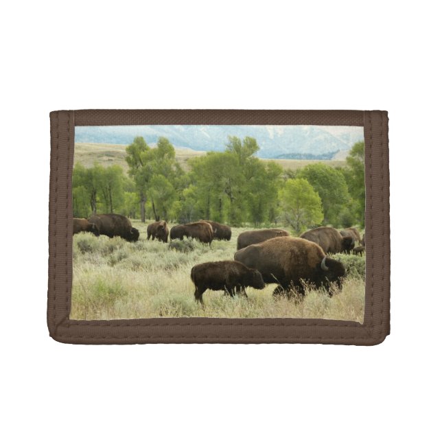 Wyoming Bison Nature Animal Photography Tri-fold Wallet (Front)