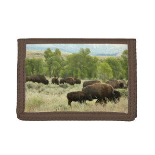 Wyoming Bison Nature Animal Photography Trifold Wallet