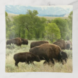 Wyoming Bison Nature Animal Photography Trinket Tray
