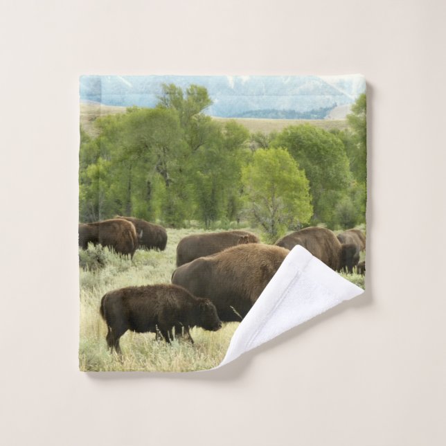 Wyoming Bison Nature Animal Photography Wash Cloth (Wash Cloth)