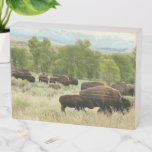 Wyoming Bison Nature Animal Photography Wooden Box Sign