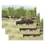 Wyoming Bison Nature Animal Photography Wrapping Paper Sheets