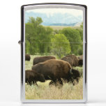 Wyoming Bison Nature Animal Photography Zippo Lighter