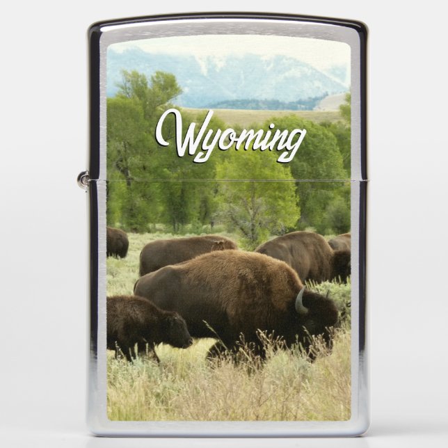 Wyoming Bison Nature Animal Photography Zippo Lighter (Front)