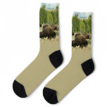 Wyoming Bison Socks
