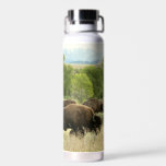 Wyoming Bison Water Bottle