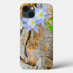Wyoming, Grand Teton National Park 1 iPhone 13 Case