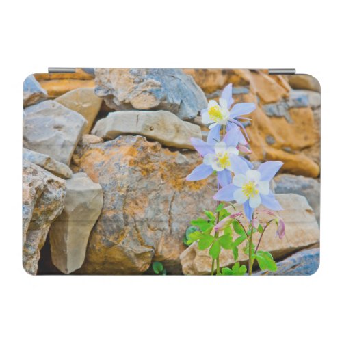 Wyoming Grand Teton National Park 1 iPad Mini Cover