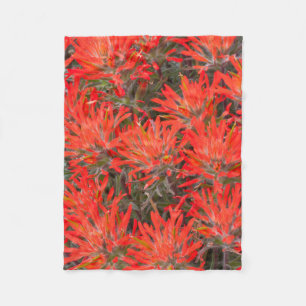 Wyoming, Lincoln County, Desert Paintbrush Fleece Blanket