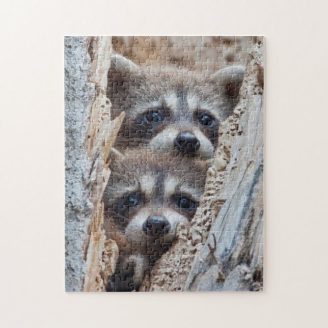 Wyoming, Lincoln County, Raccoon Jigsaw Puzzle (Vertical)