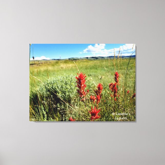 Wyoming Meadow in Summer2 Canvas Print (Front)