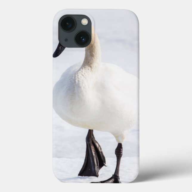 Wyoming, National Elk Refuge, Trumpeter Swan Case-Mate iPhone Case (Back)