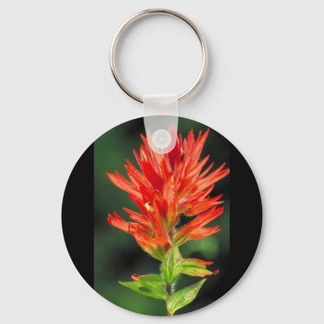 Wyoming Paintbrush Keychain (Front)