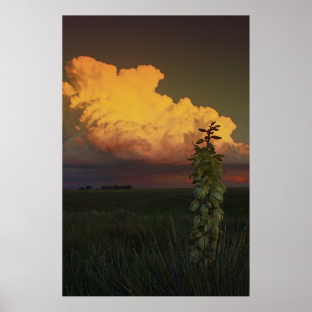 Wyoming Poster (Front)