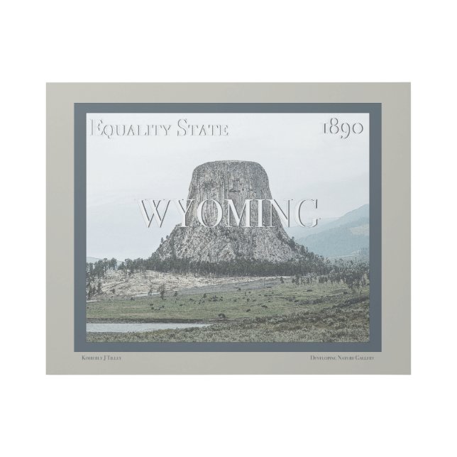 Wyoming Poster (Front)