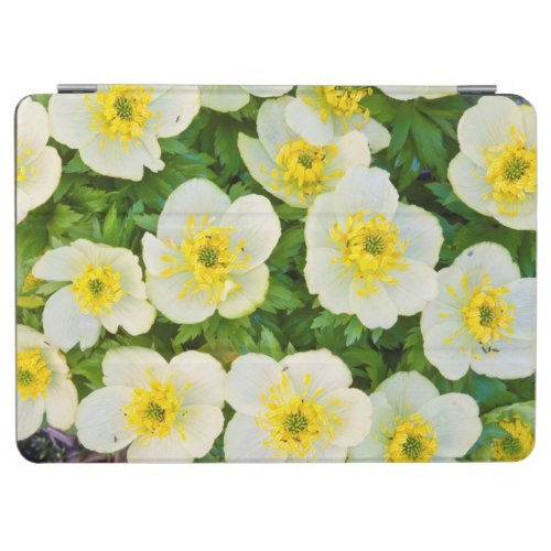 Wyoming Sublette County Close_up of a group iPad Air Cover