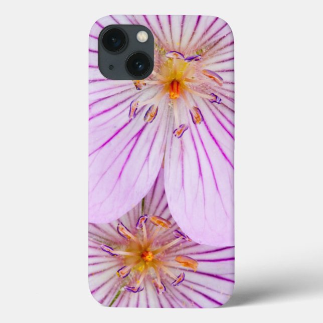 Wyoming, Sublette County, Close-up of two Sticky Case-Mate iPhone Case (Back)