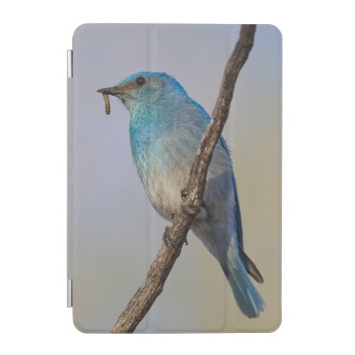 Wyoming Sublette County Male Mountain Bluebird iPad Mini Cover