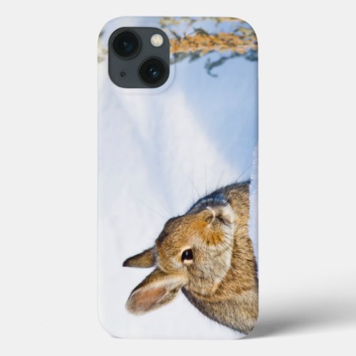 Wyoming Sublette County Nuttalls Cottontail 1 iPhone 13 Case