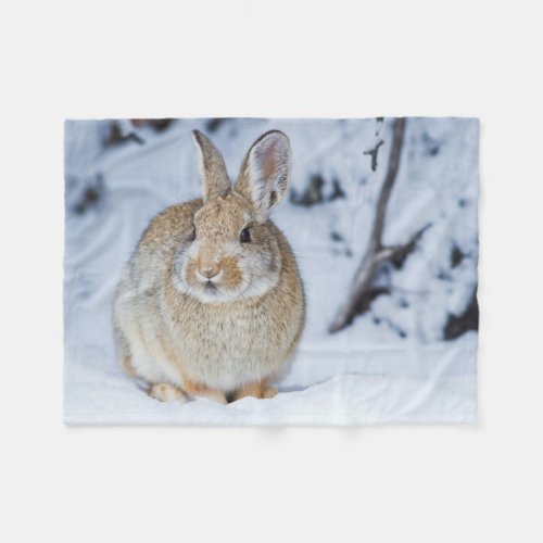 Wyoming Sublette County Nuttalls Cottontail 2 Fleece Blanket