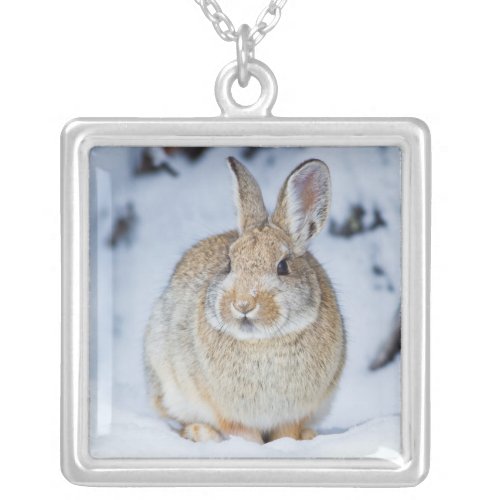 Wyoming Sublette County Nuttalls Cottontail 2 Silver Plated Necklace