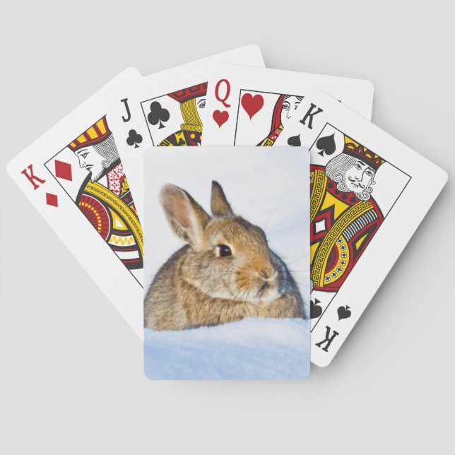 Wyoming, Sublette County, Nuttall's Cottontail Poker Cards (Back)
