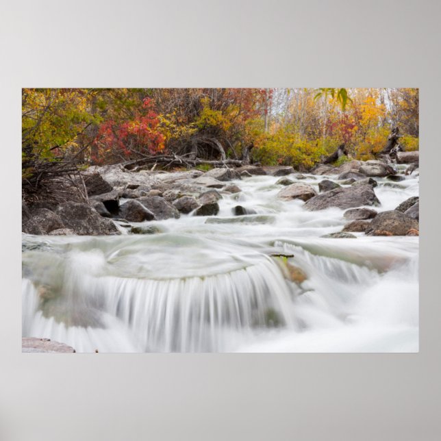Wyoming, Sublette County, Pine Creek flowing Poster (Front)