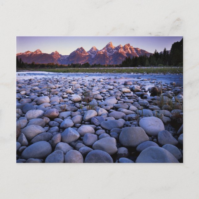 Wyoming, Teton National Park, Snake River Postcard (Front)