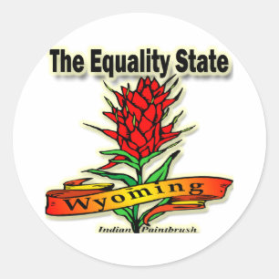 Wyoming The Equality State Indian Paintbrush Classic Round Sticker