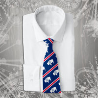 Wyoming Ties, fashion USA, Wyoming Flag business