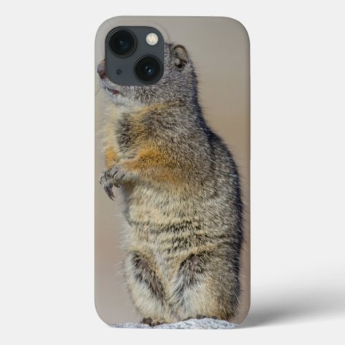 Wyoming Uintah Ground Squirrel standing on hind iPhone 13 Case