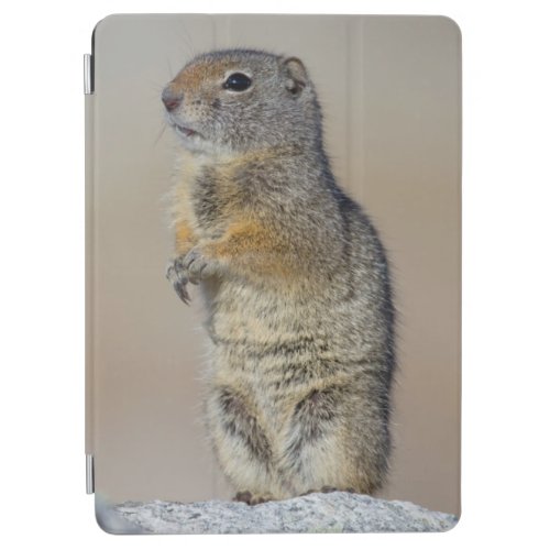 Wyoming Uintah Ground Squirrel standing on hind iPad Air Cover