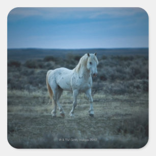 wyoming, united states of america square sticker