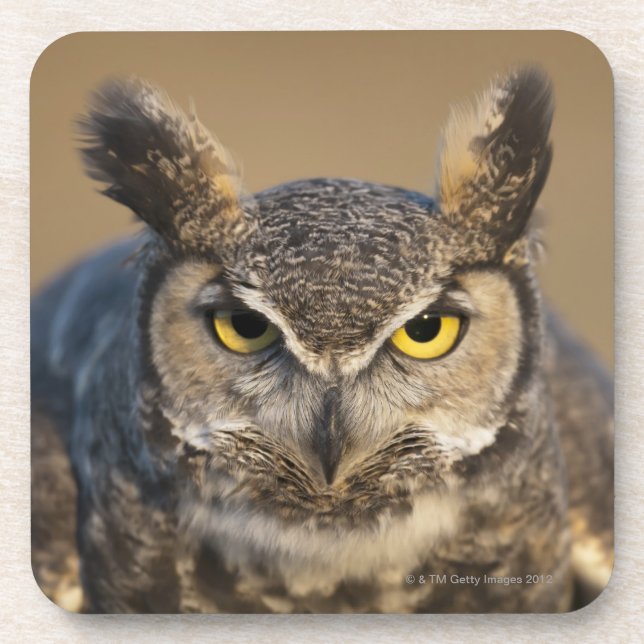 wyoming, usa drink coaster (Front)