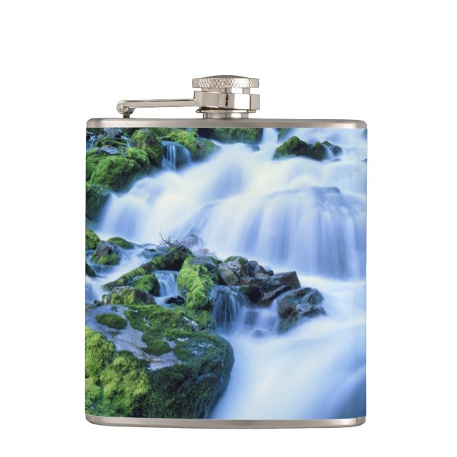 Wyoming. USA. Periodic Spring during period of Flask (Front)