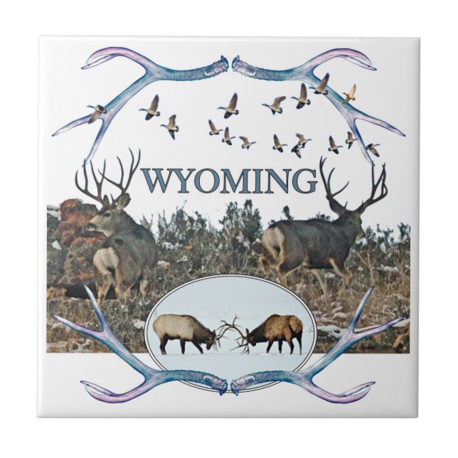 WYOMING wildlife Ceramic Tile (Front)