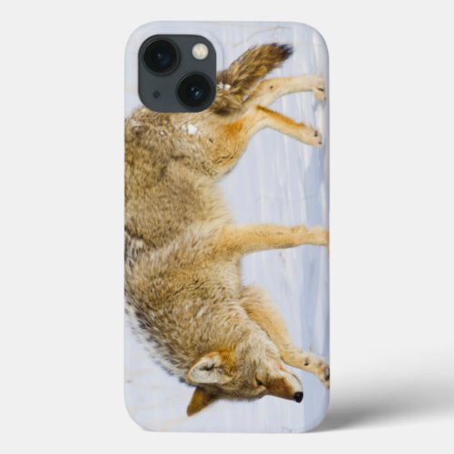 Wyoming Yellowstone National Park Coyote iPhone 13 Case