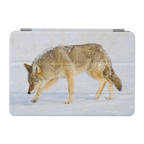Wyoming Yellowstone National Park Coyote iPad Mini Cover