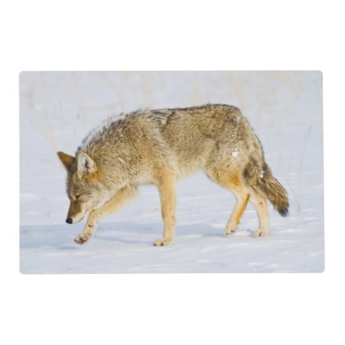 Wyoming Yellowstone National Park Coyote Placemat