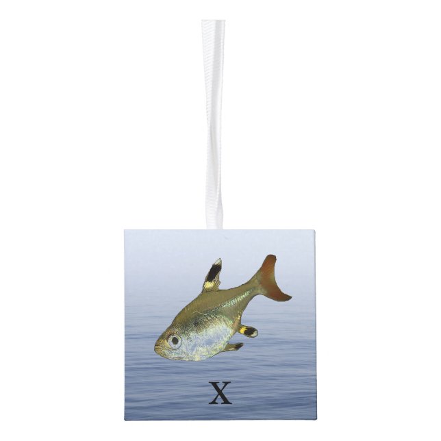 "X" is For X-Ray Fish Cube Ornament (Left)