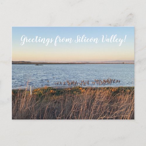 XITINERARIES Greetings from Silicon Valley Post Postcard