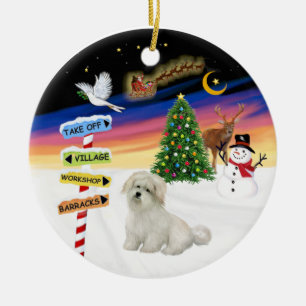 X Mas Signs- Coton de Tulear Ceramic Ornament