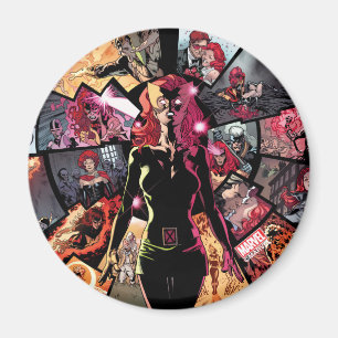 X-Men Classic Dark Phoenix Magnet