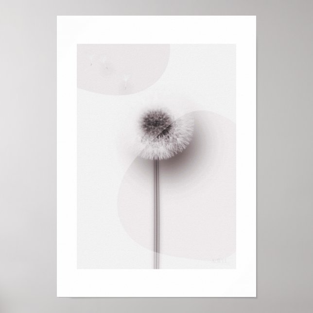 X-ray Botanical Art - Dandelion Poster (Front)