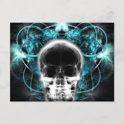  X_Ray Butterfly Fractal Skull _ Light Blue Postcard