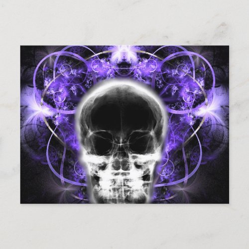  X_Ray Butterfly Fractal Skull _ Purple  Postcard