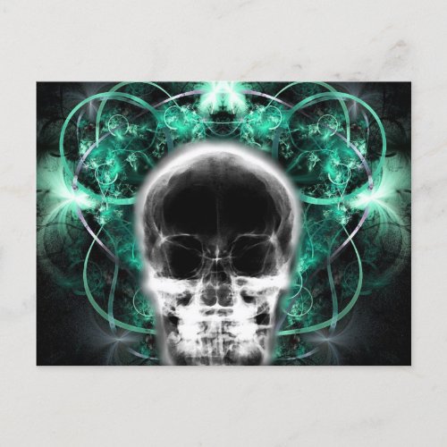  X_Ray Butterfly Fractal Skull _ Teal Postcard