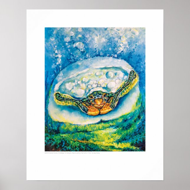 X-ray Cover Art – SeaTurtle CT Pelvis by L. Rainey Poster (Front)