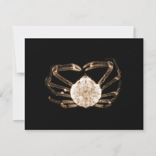 X-Ray Crab Note Card (Front)