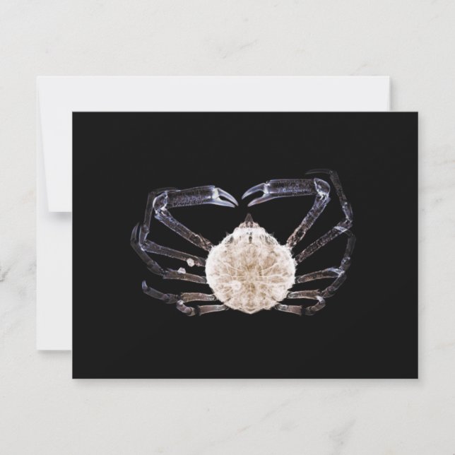 X-Ray Crab Note Card (Front)